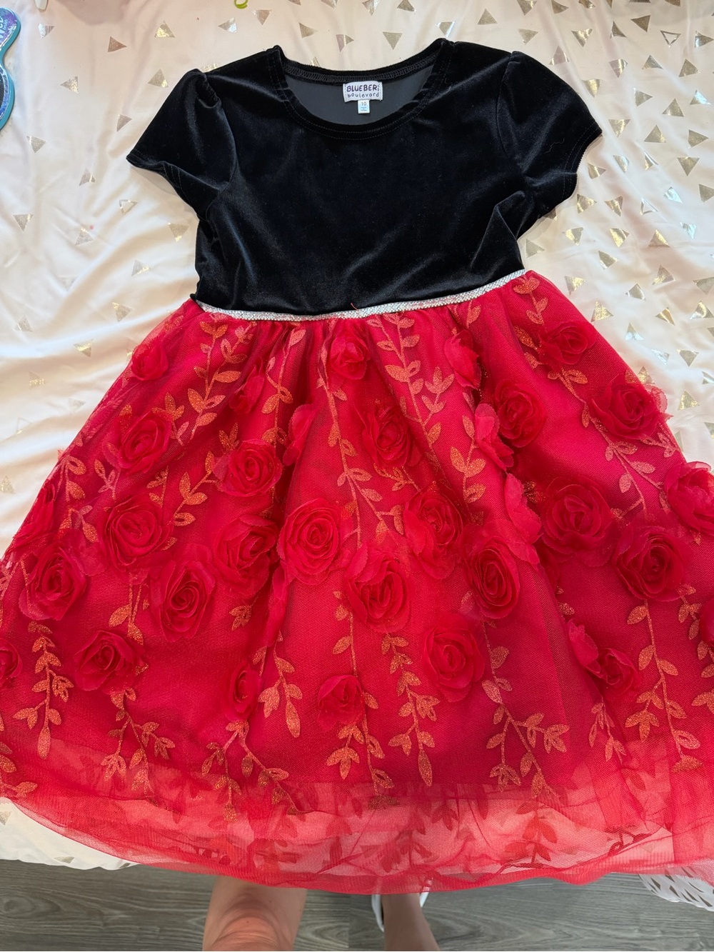 Blueberi Boulevard Black Velvet Top with Red Floral Tulle Party Dress